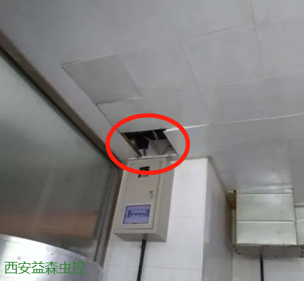 吊顶不全.png