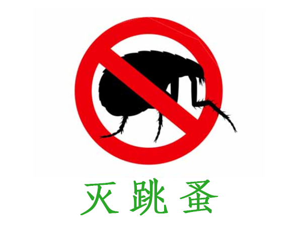 跳蚤消杀防治服务