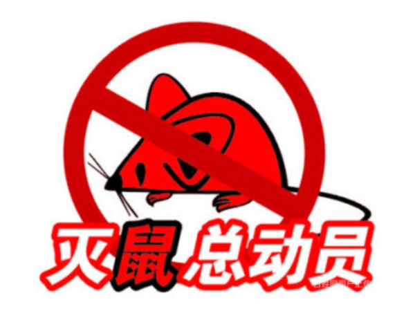 西安上门灭鼠一般多少钱
