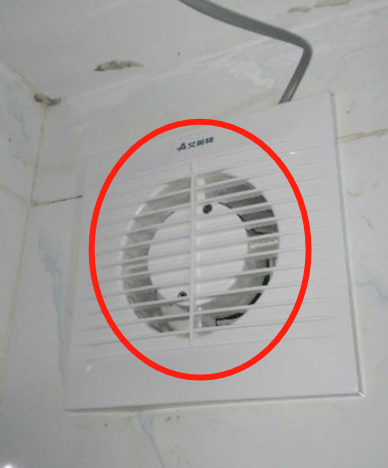 排风口进老鼠.png