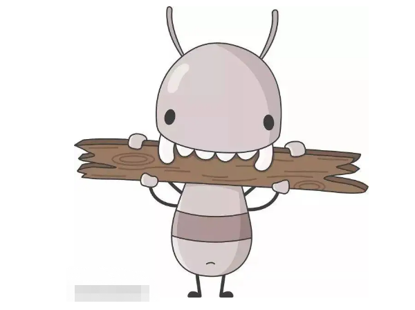 西安灭白蚁.png