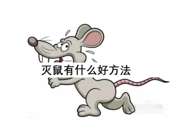 铜川灭鼠公司说家里有老鼠对我们的危害