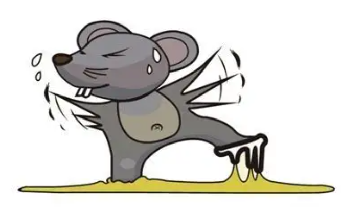 渭南灭鼠公司.png