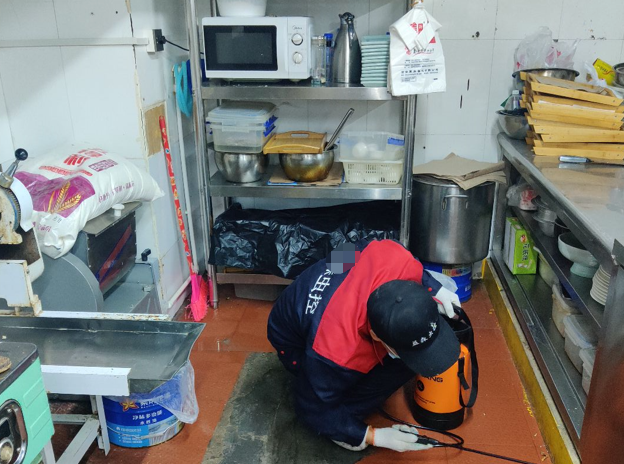 渭南灭蟑螂.png