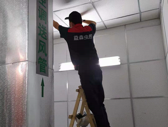 政府机关灭鼠3.png