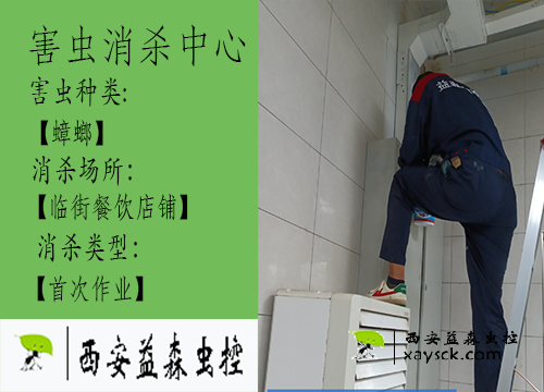 西安益森虫控｜灞桥区餐饮店除蟑螂案例