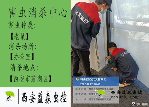 莲湖区办公室灭鼠服务
