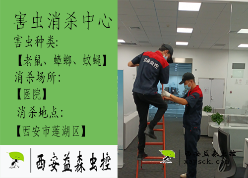 医院老鼠蟑螂消杀