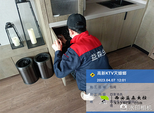 西安高新区ktv除蟑螂.png