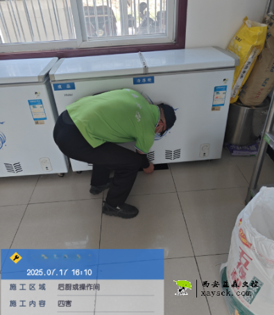 蟑螂如何彻底除干净