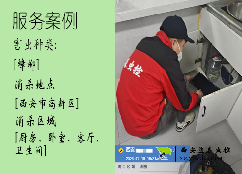 西安益森｜高新区家庭除蟑螂案例