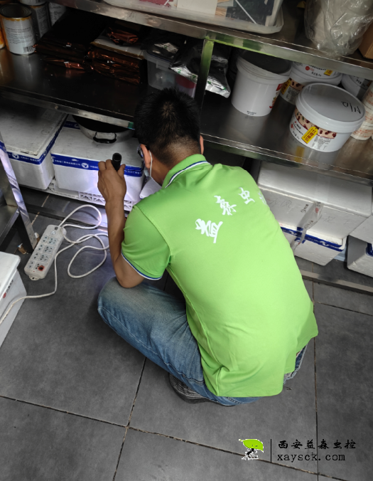 西安家庭除蟑螂