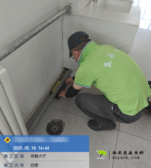 临潼园区粘鼠板防尘罩更换 西安灵台园区消杀现场更换防尘罩