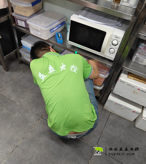 益森虫控碑林区医院厨房灭蟑螂