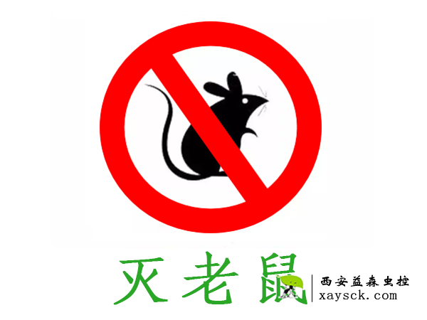 西安丨灭老鼠丨西安益森虫控