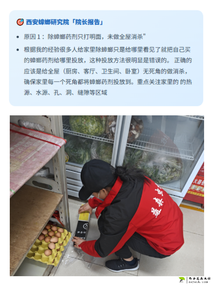 家庭除蟑螂需要全屋消杀