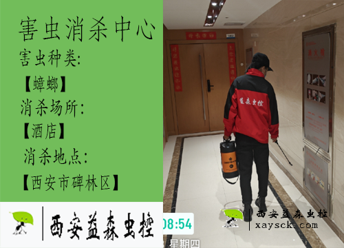 西安益森虫控丨除蟑螂丨碑林区优润精品酒店