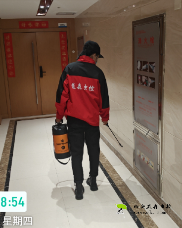 西安碑林区酒店除蟑螂施工图 西安碑林区酒店除蟑螂