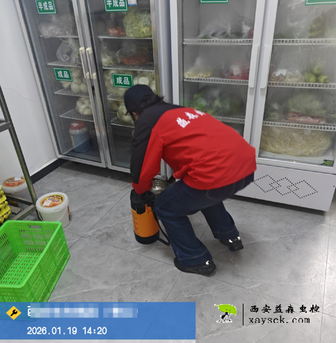 家庭除蟑螂现场施工图
