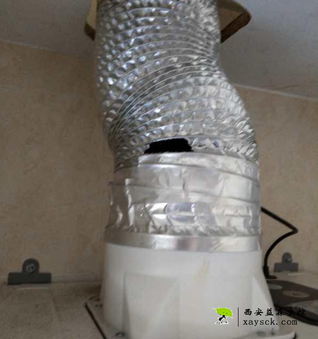 家里进老鼠了丨油烟机管道