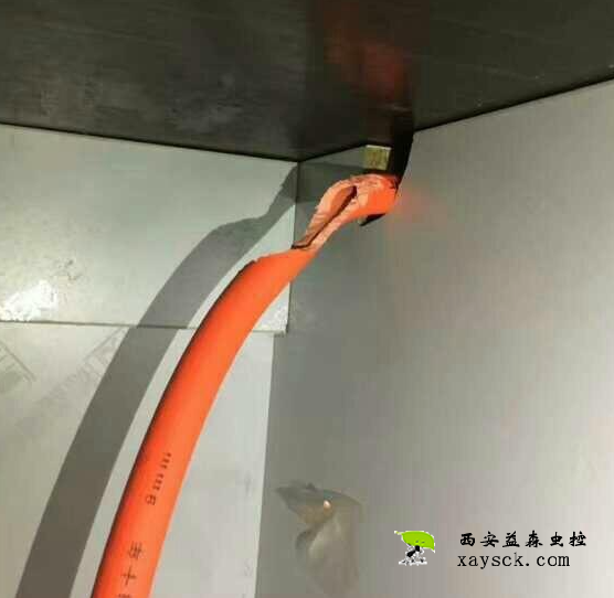 老鼠的危害丨老鼠把管道咬烂