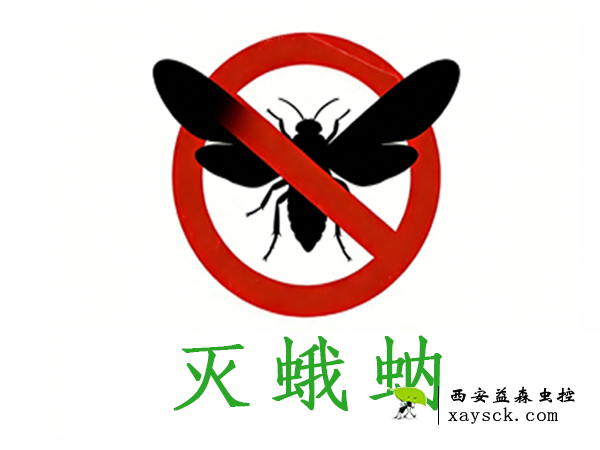 灭蛾蚋
